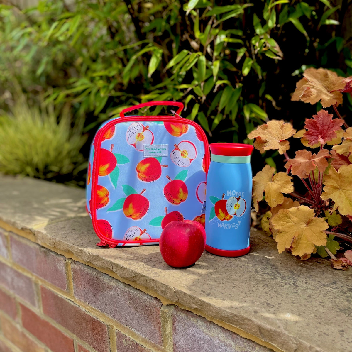 RHS Home Grown blue children’s stainless steel drinks bottle with apple design.
